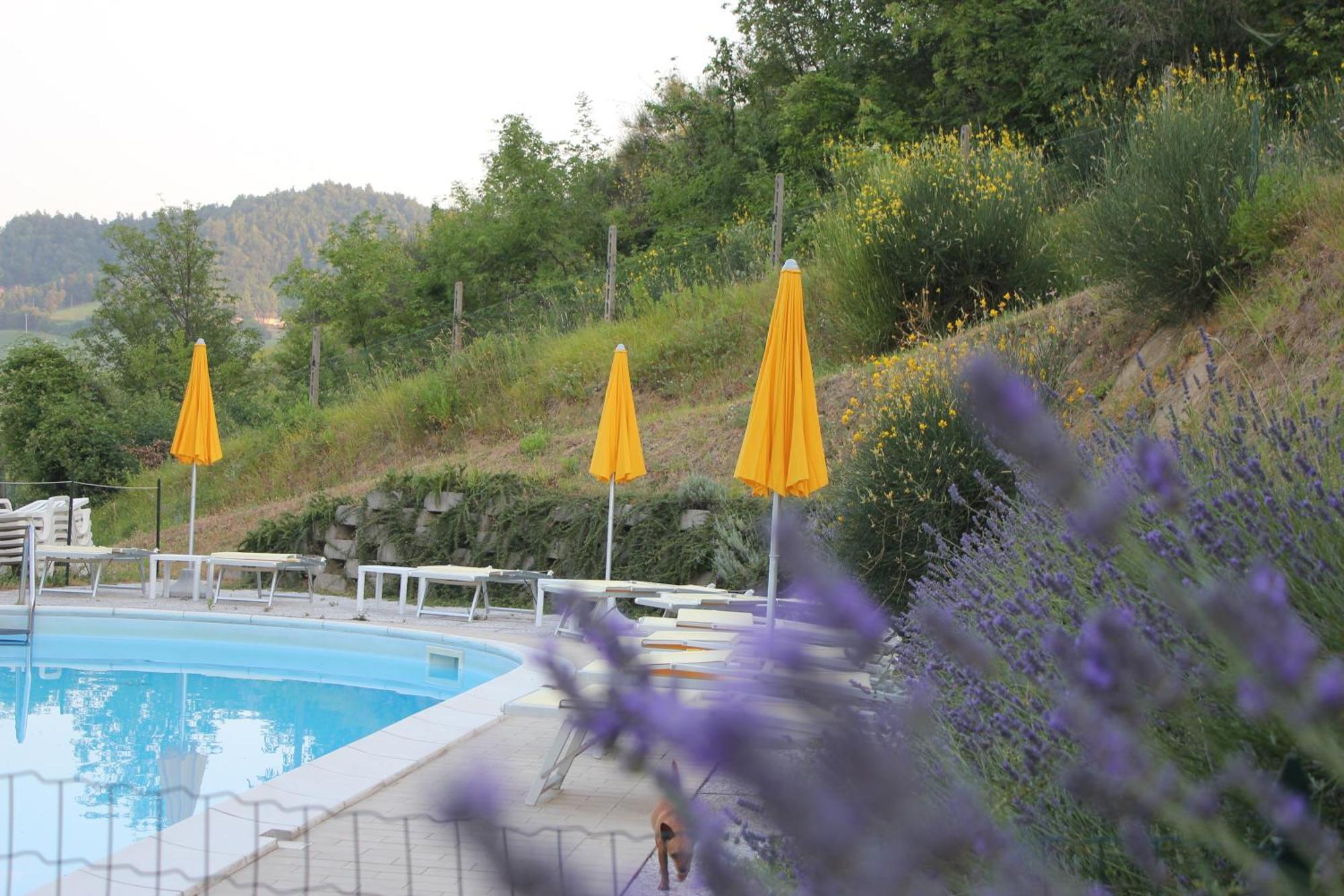 Agriturismo La Valle Del Vento Urbino Bagian luar foto
