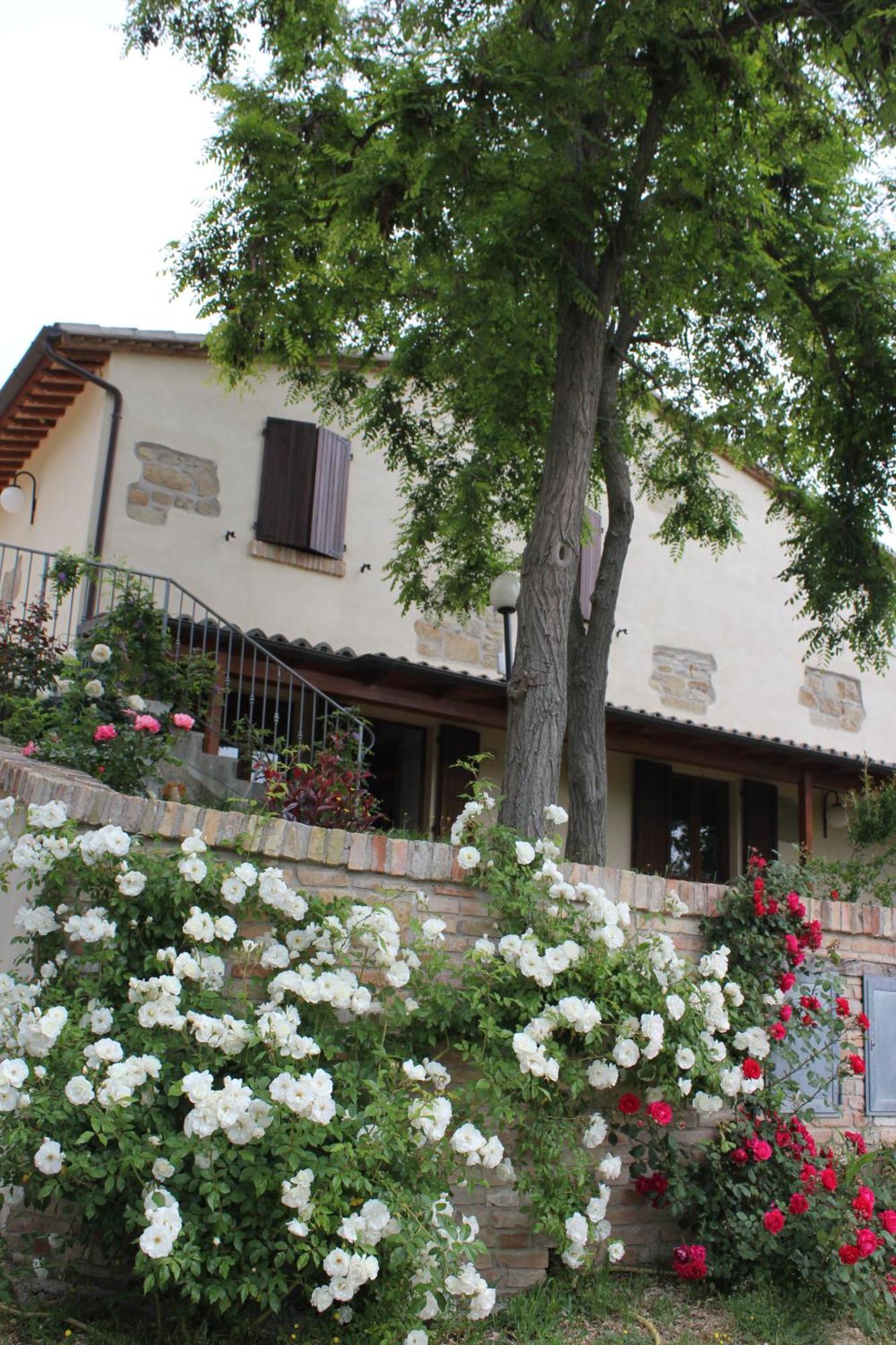 Agriturismo La Valle Del Vento Urbino Bagian luar foto