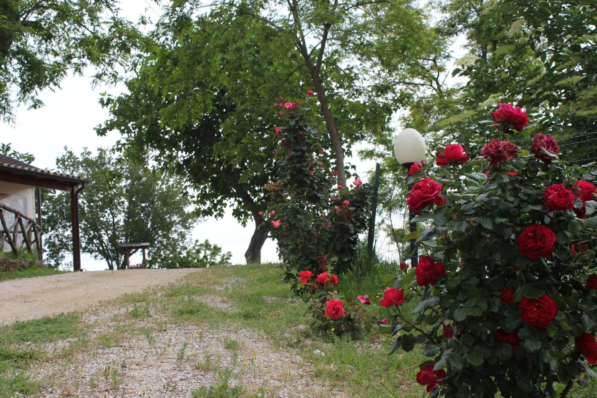 Agriturismo La Valle Del Vento Urbino Bagian luar foto